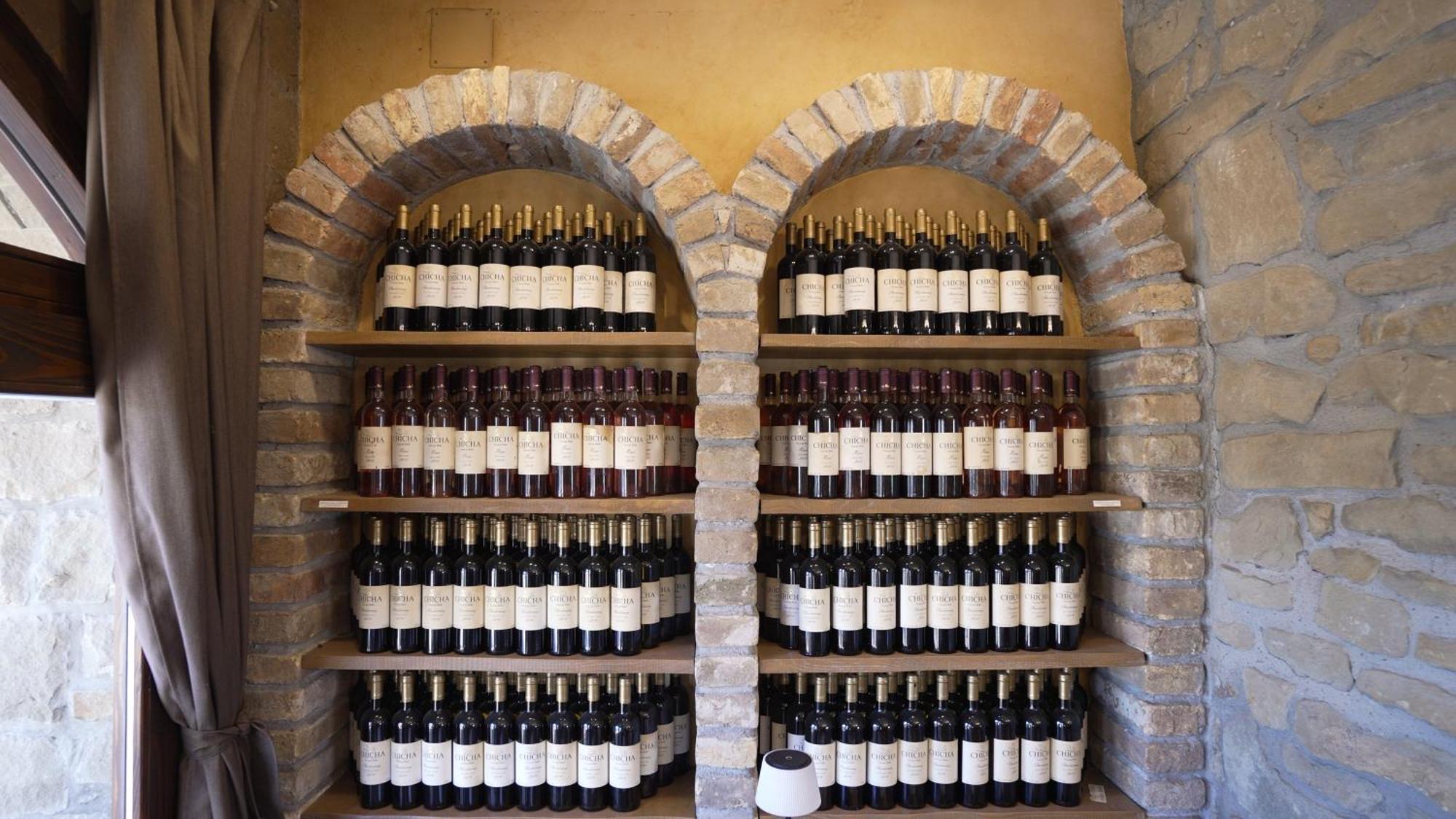 Garni Hotel Chicha - Winery Skrbic Belgrád Kültér fotó
